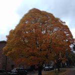 Profile Picture of Martin Deely (@mducati53) on Instagram