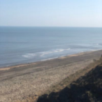 Profile Picture of Joe Brogden (@brogden93) on Twitter