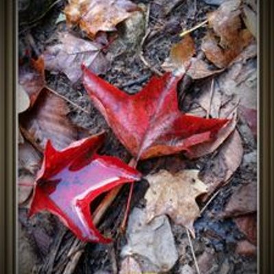 Profile Picture of Jaime Chou (@chou_jaime) on Twitter