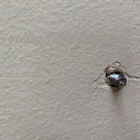 Profile Picture of Trisha Dee (@trisha-dee-4) on Quora