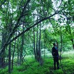 Profile Picture of James Pallante (@james_pallanteii) on Instagram