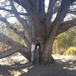 Profile Picture of Greg Galpin (@greg_galpin) on Instagram