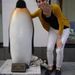 Profile Picture of Sarah Henochowicz (@shenocho) on Pinterest