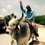 Profile Picture of Jonathan Raymer (@eltorodega) on Instagram