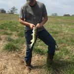 Profile Picture of Devin Neal (@nneal15) on Instagram