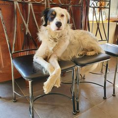 Profile Picture of danieldeprez531 (@danieldeprez531) on Tiktok