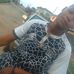 Profile Picture of Victor Ibrahim (@victor.ibrahim.54738) on Facebook