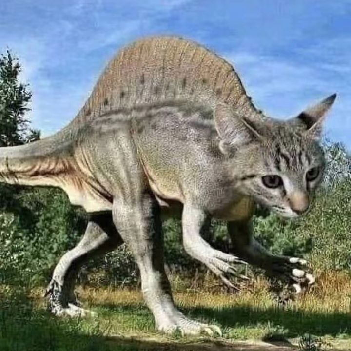 Profile Picture of Joseph (@lok.tahoecrazy) on Tiktok