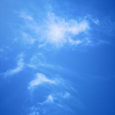 Profile Picture of Xueyan Liu (@liuxueyan) on Twitter