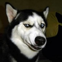 Profile Picture of Brandon Yu (@brandon-yu-17) on Quora