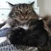 Profile Picture of Jon Clancey (@jon.clancey.54) on Facebook