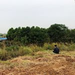 Profile Picture of 〇feng (@lingfeng9527) on Instagram