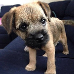 Profile Picture of Amanda Jenkins (@amandajenkins566) on Flickr