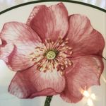 Profile Picture of Claudia Wilmot Rooney (@bent_arbor_collection) on Instagram