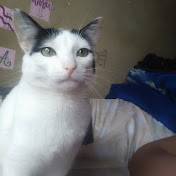 Profile Picture of Valentina Ramirez Sanchez (@ValentinaRamirezSanchez-v7i) on Youtube