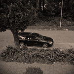 Profile Picture of Arjan Koudijs (@arjan koudijs) on Flickr