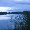 Profile Picture of Louise Nicholson (@@louisenic_) on Tiktok