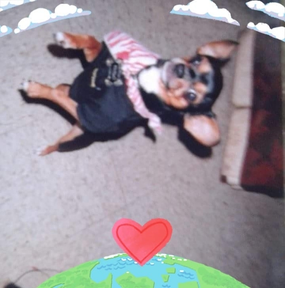 Profile Picture of Katherine Alvarez (@katherinealv137) on Poshmark