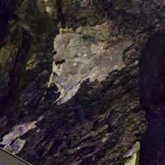 Profile Picture of garyjameson2 (@garyjameson2) on Tiktok