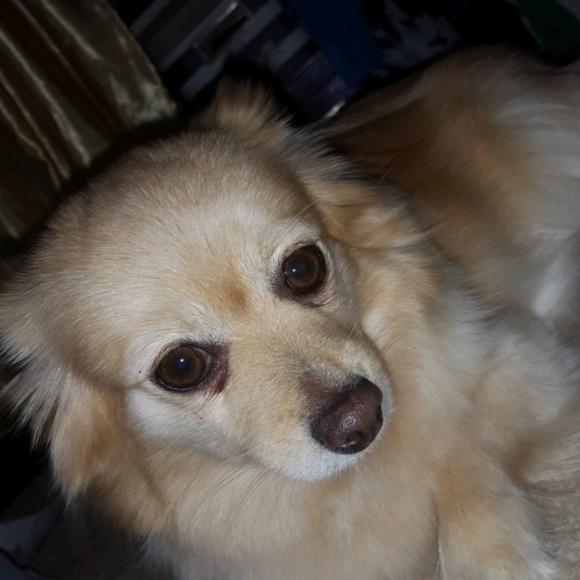 Profile Picture of Kassandra Anderson (@kassandraanders) on Poshmark