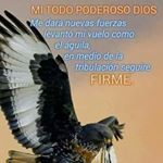 Profile Picture of Jose Ramón Fournier Orama (@joseramonfournier) on Instagram