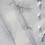 Profile Picture of Edwin (@edwinchaytorhhb) on Instagram