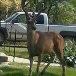 Profile Picture of Pete Bailor (@petebailor) on Instagram