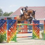 Profile Picture of Sarah Clement (@sarah.clement89) on Instagram