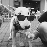 Profile Picture of Eduardo Lara Tabormina (@mefhisto) on Instagram