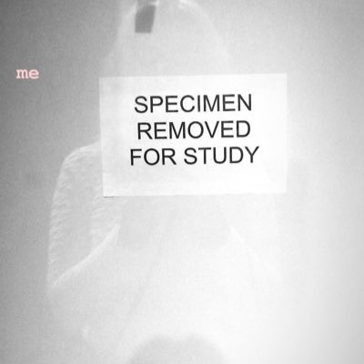 Profile Picture of (((R. Rosenberg))) (@missrrosenberg) on Twitter