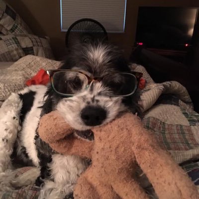 Profile Picture of Jennifer Maisch (@MaischJennifer) on Twitter