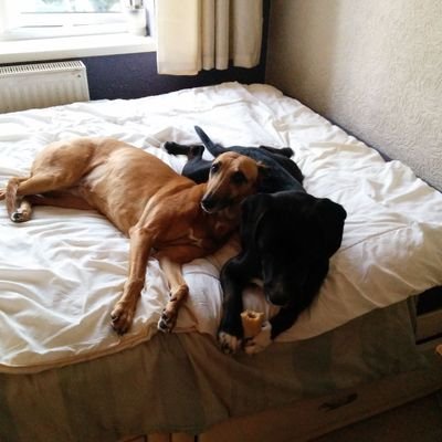 Profile Picture of Chris Toney (DRE) (@Dr_Dre84) on Twitter