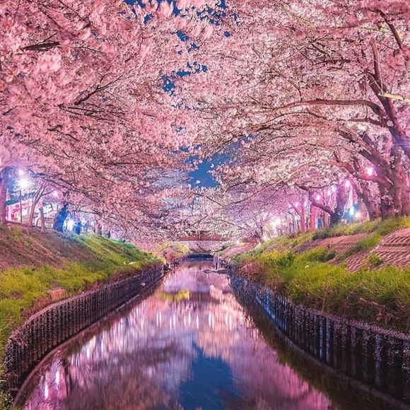 Profile Picture of Kristi Riesmeyer (@kristi_ries) on Poshmark