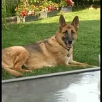 Profile Picture of Darren Wisinski (@darren.wisinski.9) on Facebook