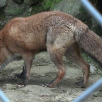 Profile Picture of Ivan Robledo (@ivanrobledo253) on Twitter