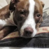 Profile Picture of Raymond Persaud (@raymond-persaud-10) on Quora