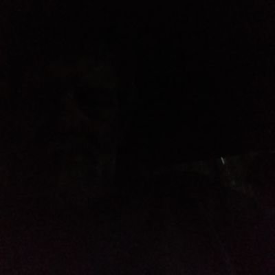Profile Picture of Jon Holliday (@JonHolliday20) on Twitter