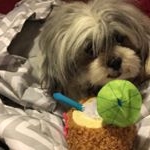 Profile Picture of Robin Howard (@howardrobin05) on Instagram