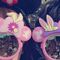 Profile Picture of Latisha Shell (@Latisha-Shell) on Facebook