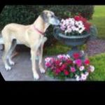 Profile Picture of Anne mummert (@amummert.danr) on Instagram