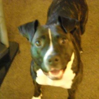 Profile Picture of Jeffrey Durham (@InsanityJ) on Facebook