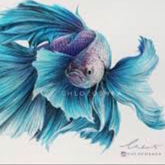 Profile Picture of Alex Brazeau (@alex_bb2427) on Poshmark