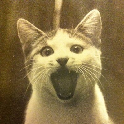 Profile Picture of Larry Craven (@LarryCraven3820) on Twitter