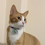 Profile Picture of eric (@housegang6) on Instagram