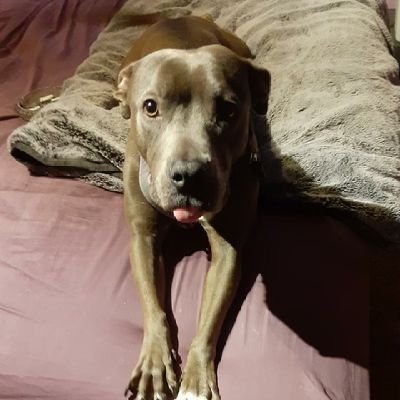 Profile Picture of Bill68 (@WilliamBascom7) on Twitter
