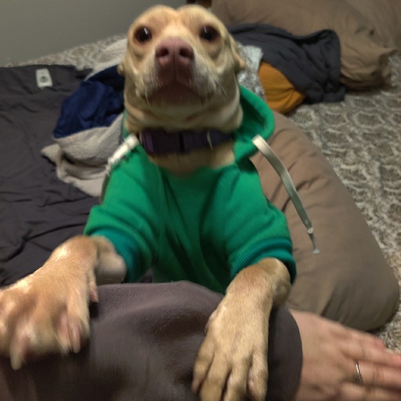 Profile Picture of Brynn Parker (@brynnpossible) on Poshmark