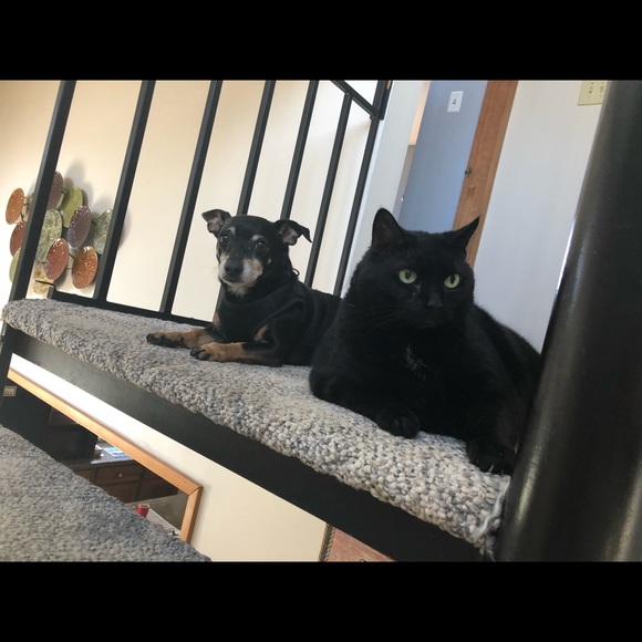 Profile Picture of Luis Viveros (@kalelilo1976) on Poshmark