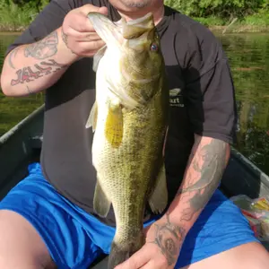 Profile Picture of Jelly Roll's Flip'n Bassholes (@kevinjellyroll) on Tiktok