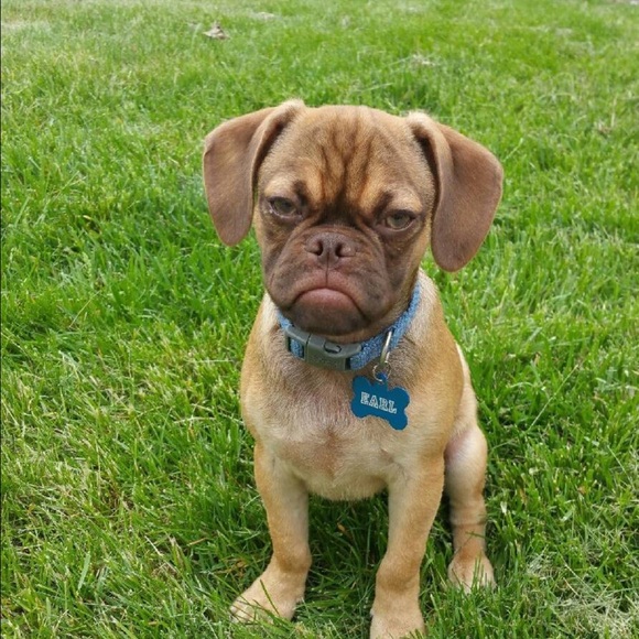 Profile Picture of Tammy Molohon (@trm1014) on Poshmark