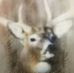 Profile Picture of Darrell Meadows (@darrell.meadows.35) on Facebook